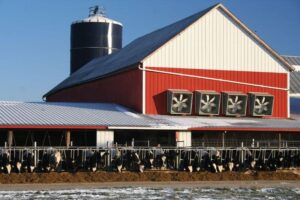 Exploring Farm Buildings: A Vital Backbone of Agriculture